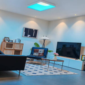 Modern Remote Control 110W Bedroom Led Ceiling Lights