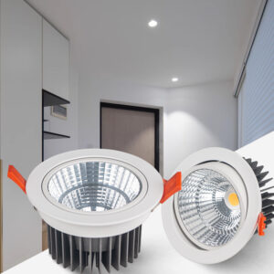 Best 12W LED Light Downlights  Recessed Light for Home